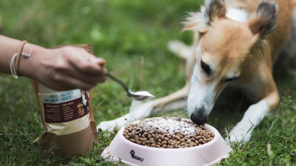 Co by Měla Obsahovat Kloubní Výživa Pro Psy 4