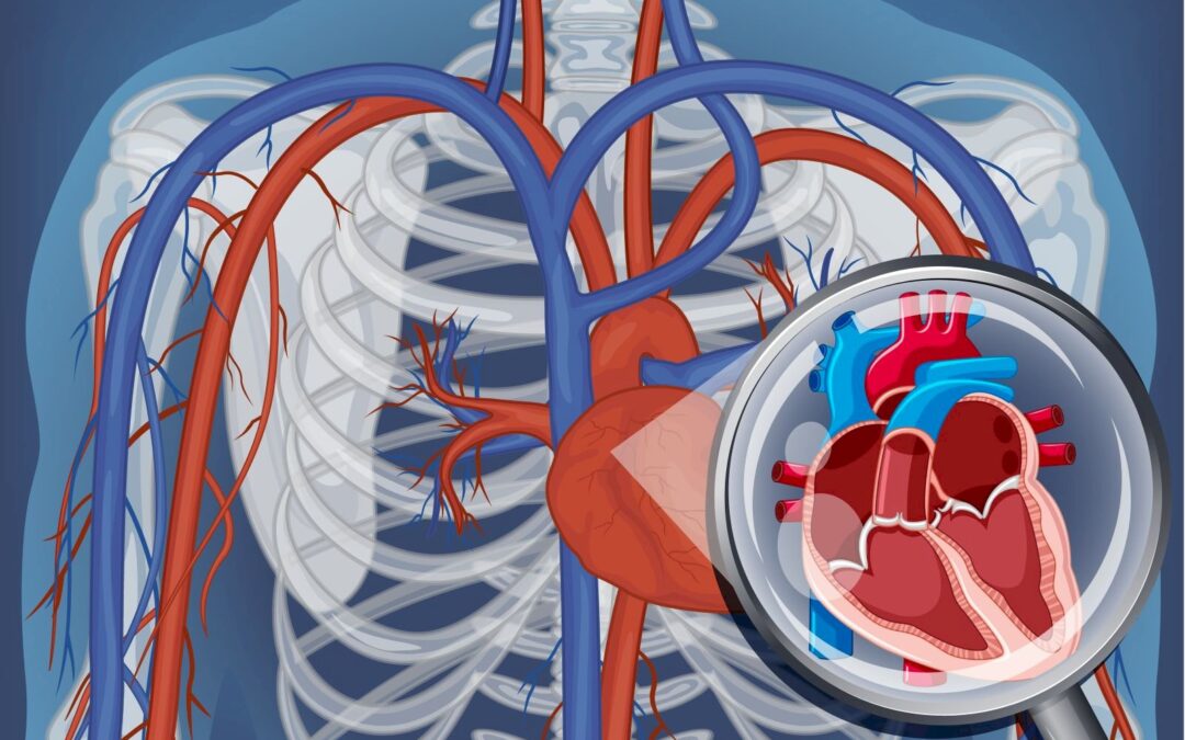 Proč Slyším Tlukot Srdce v Uchu?