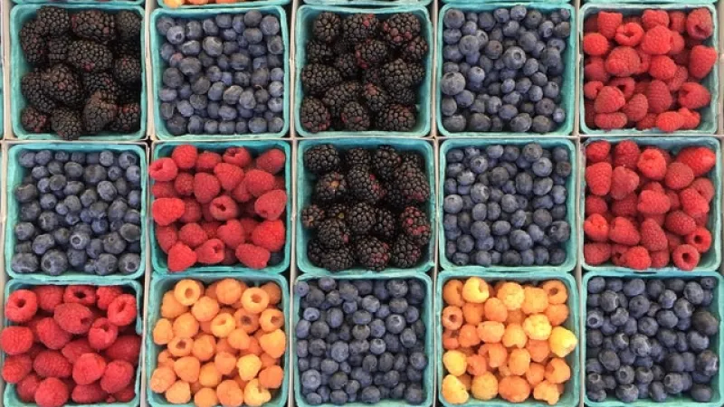 Jaké Vitamíny Brát Každý Den 7